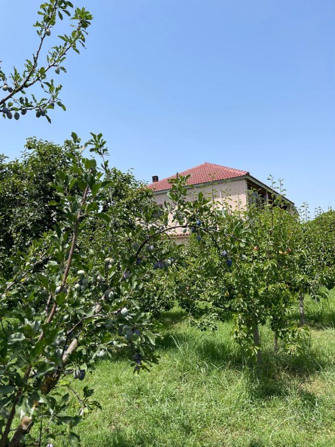 Villa Mance Berati Exterior foto