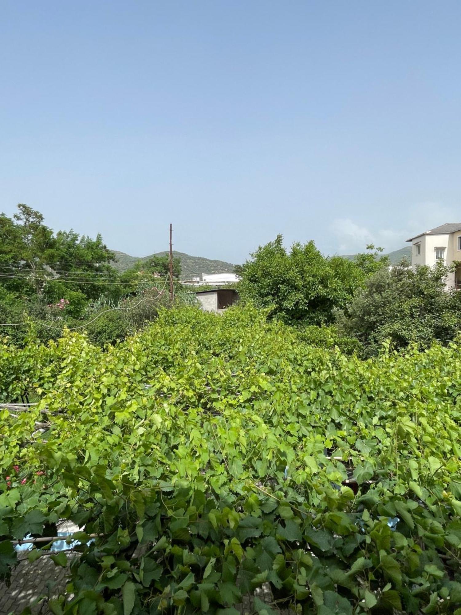 Villa Mance Berati Exterior foto